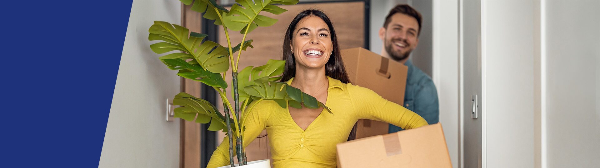 Case Studies involving conveyancing and property disputes